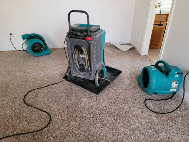 Best Professional water damage repair  in Kyle, TX