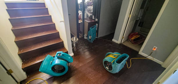 Best Flood restoration services  in Kyle, TX