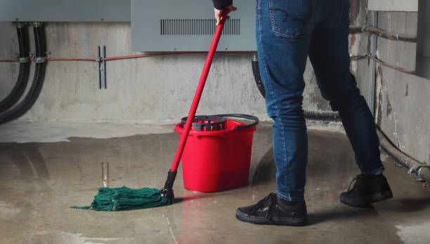 Carpet water damage restoration in Kyle, TX
