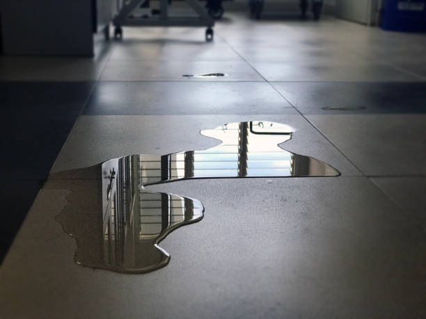 Best Water damage contractors near me  in Kyle, TX