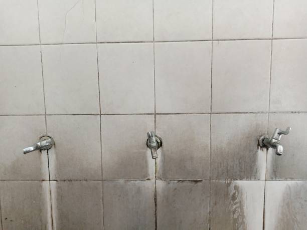 Best Water damage cleanup near me  in Kyle, TX