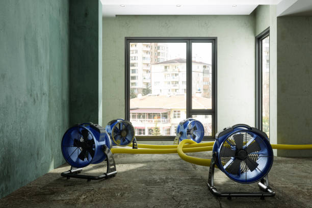 Best Water damage mitigation services  in Kyle, TX