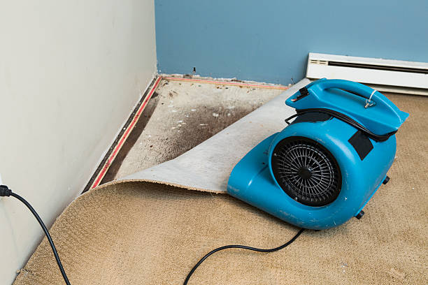 Best Water damage restoration near me  in Kyle, TX